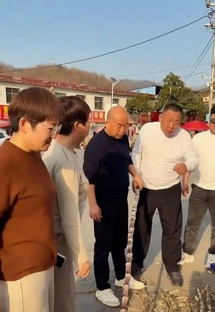 于东来退休后在家卖甘蔗？辟谣：实为途经南阳时买甘蔗:二手破碎机报价